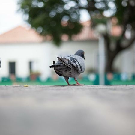 Casa Santa Marinha Daire Lisboa Dış mekan fotoğraf